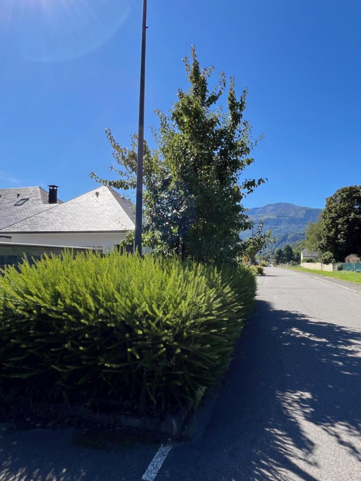 La Maison De Lilette Proche Argeles Gazost Ayzac-Ost ภายนอก รูปภาพ
